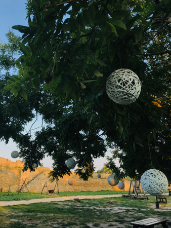 Serene outdoor scene showcasing decorative hanging spheres among lush tree branches. The background reveals a rustic wall under warm sunlight, creating a peaceful and artistic atmosphere.の写真素材