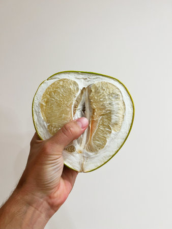 A hand holds a freshly sliced pomelo, featuring juicy fruit segments, against a minimalist white backdrop, capturing a sense of freshness and simplicity.の写真素材