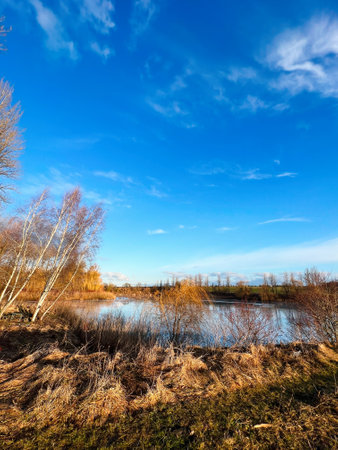 A serene lakeside scene featuring clear blue skies, bare winter trees, and a mirrored water surface. The calm environment evokes feelings of peace and natural beauty.の写真素材