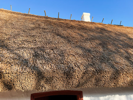 Close-up view of a traditional ukrainian thatched roof with clear blue skies above.の写真素材