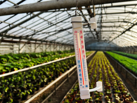 Thermometer measuring temperature in a large greenhouse filled with well-maintained plantsの写真素材