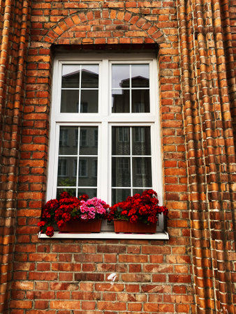 Window framed by brick walls featuring flower pots in red and pink hues