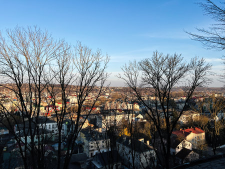 Urban scenery captured through bare tree branches on a sunny day.の写真素材