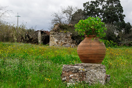 A field with an earthen pot of flowers by the barn in Fatima, Portugalの写真素材
