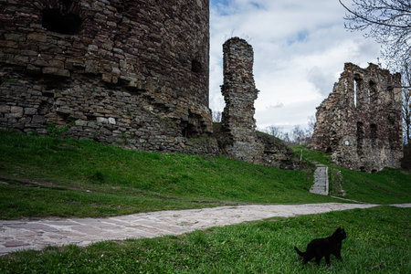 Old ruins surrounded by green grass and a roaming black cat on a path.の写真素材