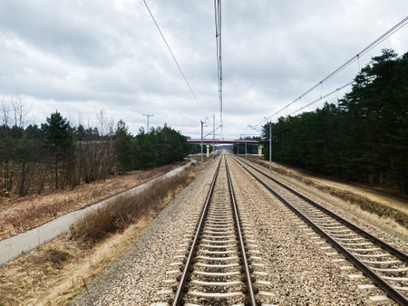 Two parallel railway tracks surrounded by vegetation under a gray cloudy skyの写真素材