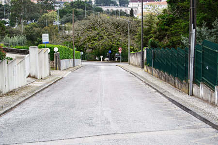 Calm street view in Fatima, Portugal, surrounded by trees and residential structures.