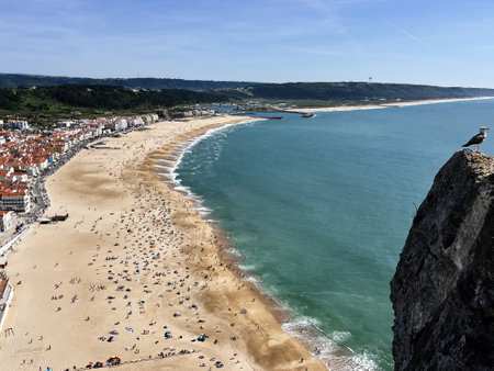 Golden sandy beach in NazarÃ©, Portugal bordered by the Atlantic Ocean and cliffs.の写真素材