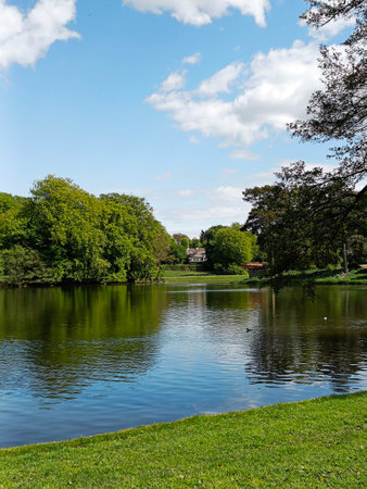 A serene and lush lakeside view surrounded by vibrant green trees. Copenhagen, Denmark.の写真素材