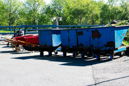 Bins and wheelbarrows aligned outdoors on a sunny day near green foliage