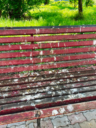 A red park bench heavily soiled with bird droppings under sunlight near green grass.の写真素材