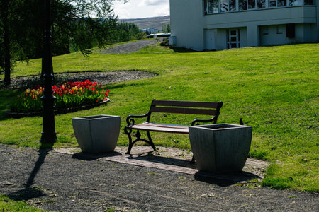 Bench with garden flowers and tulips in MosfellsbÃ¦r, Iceland during clear weather