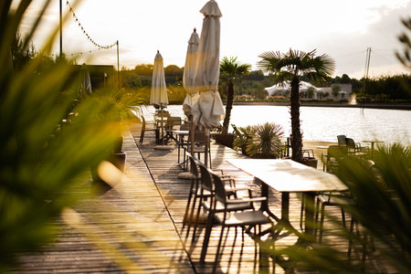 Beautiful lakefront terrace with chairs, tables, umbrellas, and serene palm trees at sunset.の写真素材