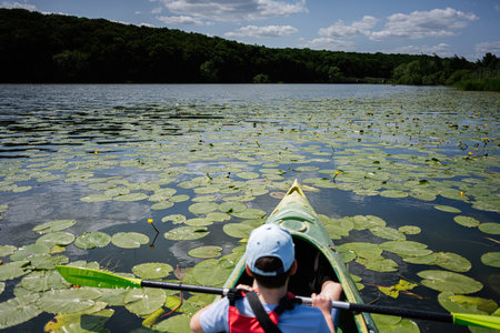 Kayaking through a serene lake filled with lily pads under a sunny blue sky