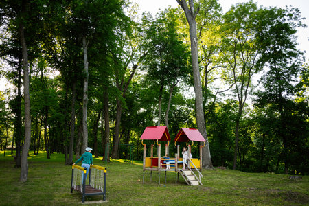 Playground and trees in a park on a sunny day with activity
