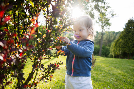 A young child interacts with bushes and enjoys sunlight in a scenic park.の写真素材