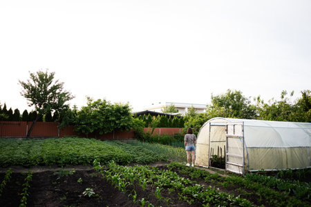A serene vegetable farm with a woman walking near a greenhouse and plants.