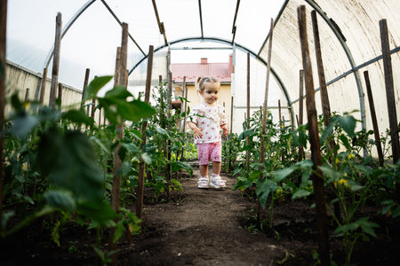 Young child walking inside a greenhouse surrounded by various lush green plantsの写真素材