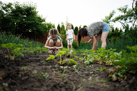 A family collaborates on growing vegetables in a lush summer garden surrounded by nature.の写真素材