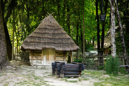 A rustic hut with a thatched roof, located within a peaceful wooded area.の写真素材