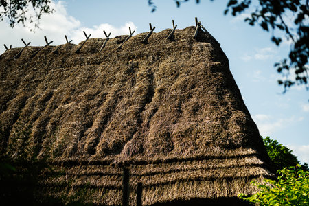 Detailed view of a thatched roof with wooden supports amidst lush greeneryの写真素材