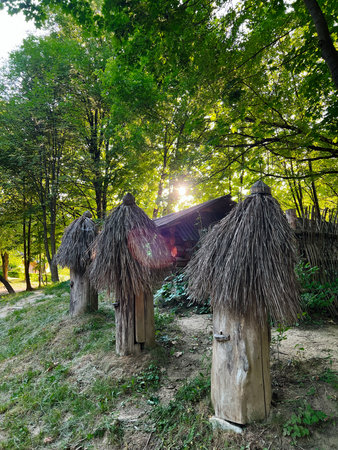 Thatched wooden hives in a serene forest setting during a sunny afternoonの写真素材