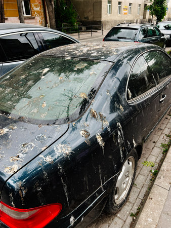 A car on a city street heavily stained with bird droppings and dirtの写真素材