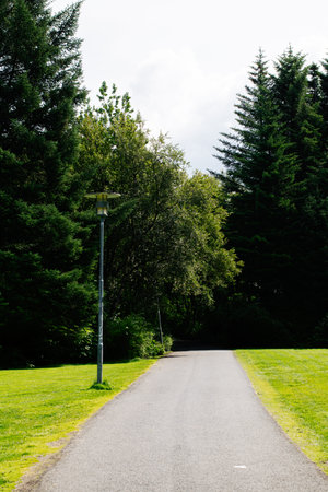 A peaceful walking path among green trees, located in Reykjavik, Iceland