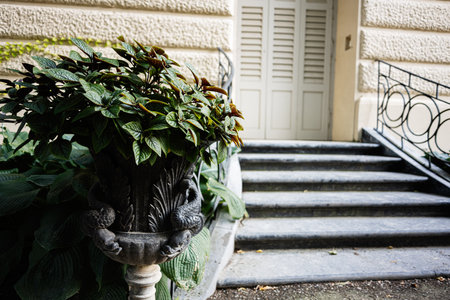 Ornamental planter with lush greenery beside staircase leading to historic building entrance