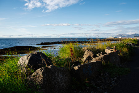 Serene Icelandic coastline featuring boulders, vegetation, and calm blue waters