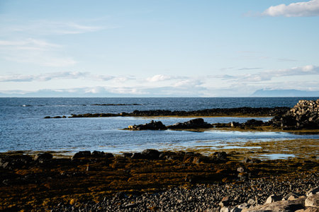 Coastal view of Iceland with rocks, calm sea, and clouds on a sunny day.