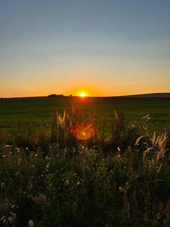 Golden sunset light illuminating a grassy field with flowers and a tranquil feelの写真素材