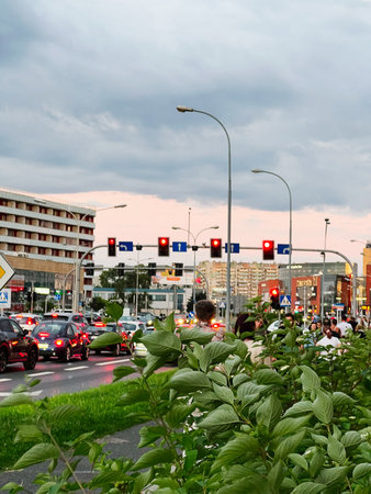 City traffic during red lights in an urban setting with greenery and pedestrians.