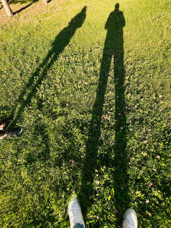 Sunlit scene with shadows of two individuals on a lush grassy meadow.の写真素材