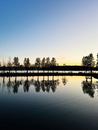 Beautiful sunset view with tree reflections on water and silhouettes along the riverの写真素材