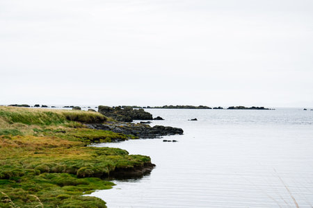 Idyllic seascape featuring grassy shoreline, rocky formations, and calm waters in Iceland