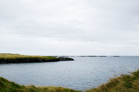Serene Icelandic coastline featuring calm ocean waters and lush grass-covered cliffs.