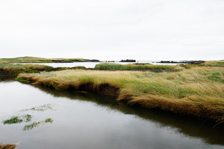 A serene Icelandic wetland displaying grasslands, water, and a distant coastal shoreline.