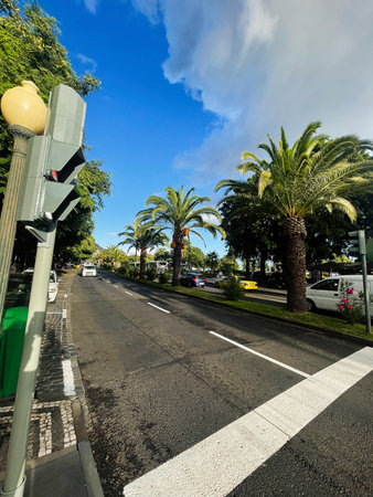 A bright city street scene in Funchal, Madeira featuring palm trees, traffic, and vibrant outdoor atmosphere.の写真素材