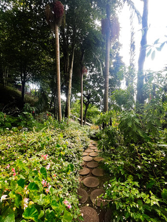 A serene garden scene in Madeira featuring a stone path and dense greenery, inviting calm.