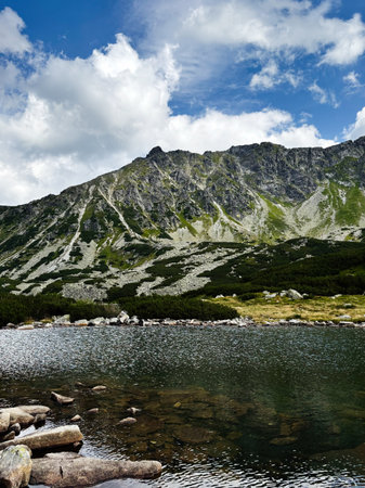 Alpine lake with rocky mountain backdrop, blue sky, and green shores near Zakopane, Poland.の写真素材