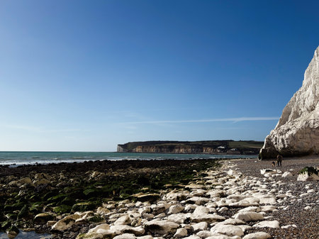Bright coastal scene with white chalk cliffs, rocky shore, and calm blue sea.の写真素材
