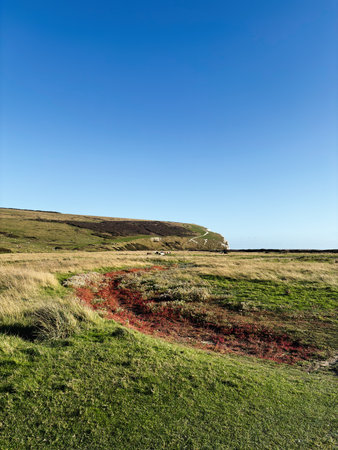 Coastal meadow at Seven Sisters Cliffs in East Sussex, blue sky, winding path, tranquil landscape.の写真素材