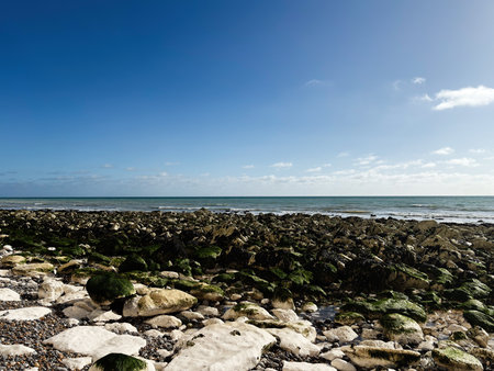 Rocky shore with mossy rocks along the coast at Seven Sisters Cliffs, East Sussex, UK