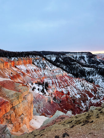 Snow coats layered red rocks and pines, creating a stunning Utah winter landscape with dramatic cliffs. Zion National Parkの写真素材