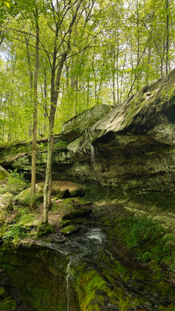 A sunlit forest scene in Southern Illinois featuring a small waterfall cascading over mossy rocks beneath leafy trees.の写真素材