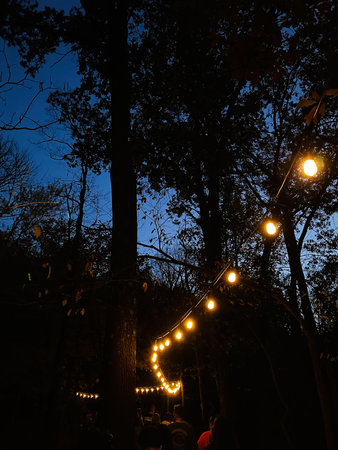 Night in a Southern Illinois forest with warm string lights guiding guests along a path.