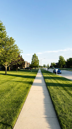 Sunlit suburban street in Indiana features green lawns, trees, and a calm residential vibe.の写真素材