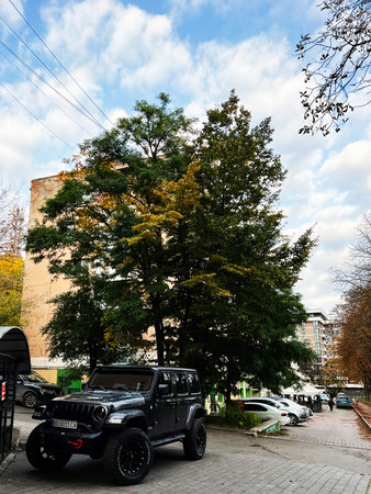 Kyiv, Ukraine - October 25, 2025: A black Jeep Wrangler sits parked on a city pavement beside a tall tree during fall.のeditorial素材