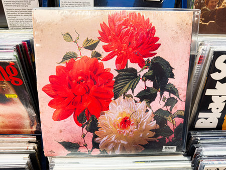 Manchester, UK - January 21, 2026: Colorful vinyl Godspeed You Black Emperor cover featuring red and white dahlias on a pink background, vintage botanical art piece.のeditorial素材